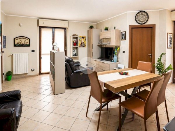 appartamento in vendita a Collegno