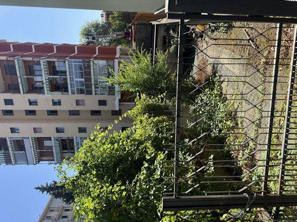 negozio in vendita a Collegno