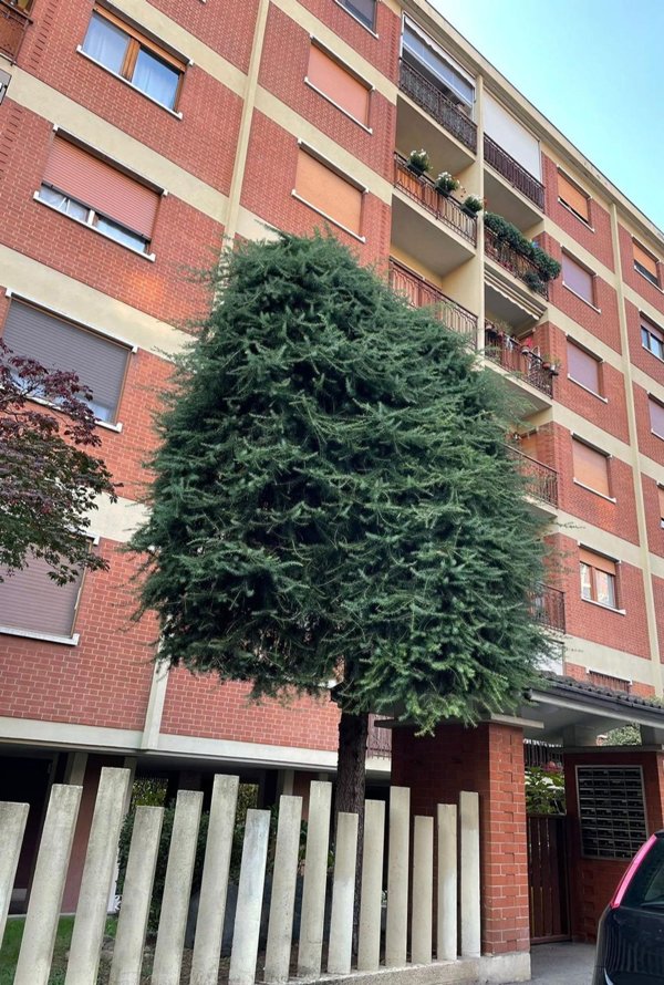 appartamento in vendita a Collegno