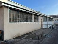negozio in vendita a Collegno