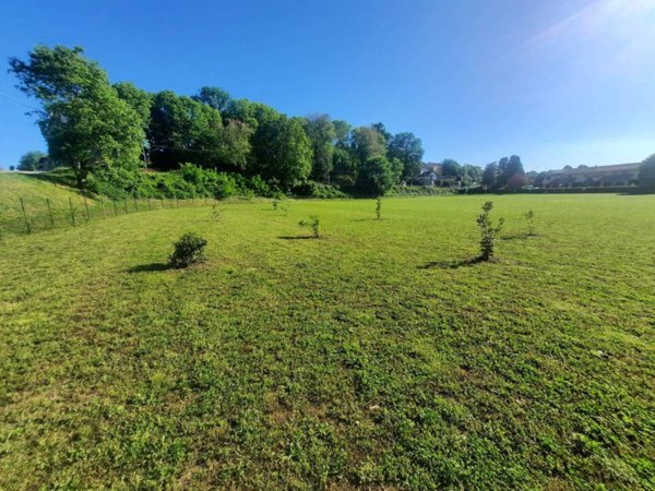 terreno agricolo in vendita a Collegno in zona Savonera