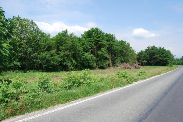 terreno edificabile in vendita a Cumiana