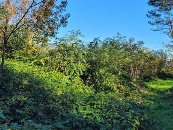 terreno agricolo in vendita a Cumiana