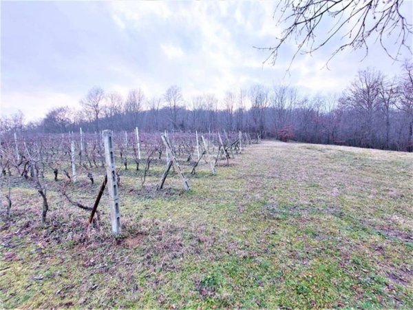 terreno agricolo in vendita a Cumiana