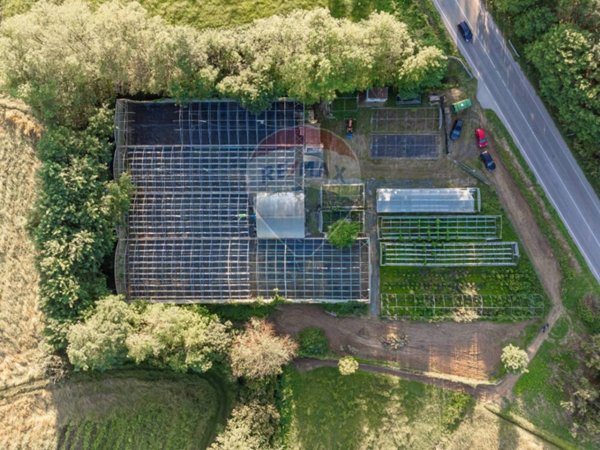 azienda agricola in vendita a Cumiana