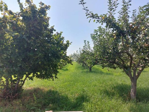 terreno agricolo in vendita a Cumiana