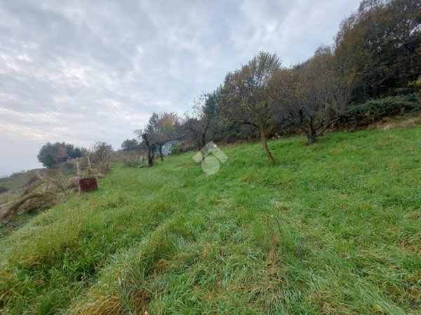 terreno agricolo in vendita a Cumiana