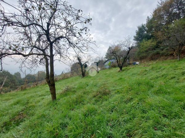 terreno agricolo in vendita a Cumiana