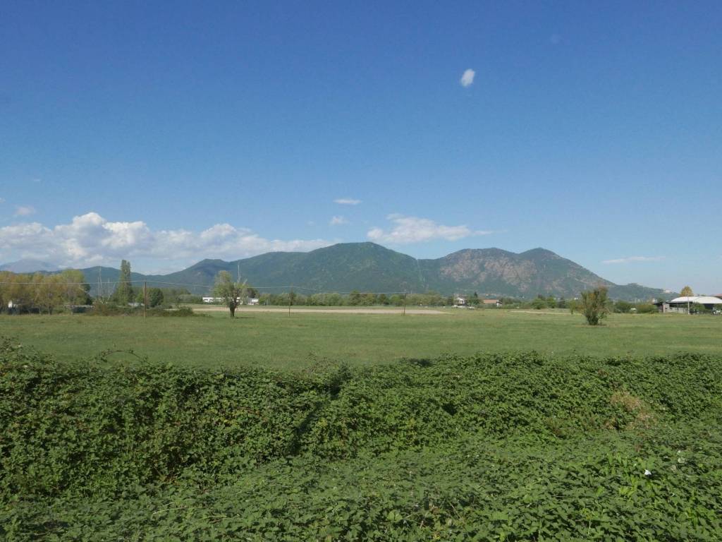 terreno agricolo in vendita a Cumiana