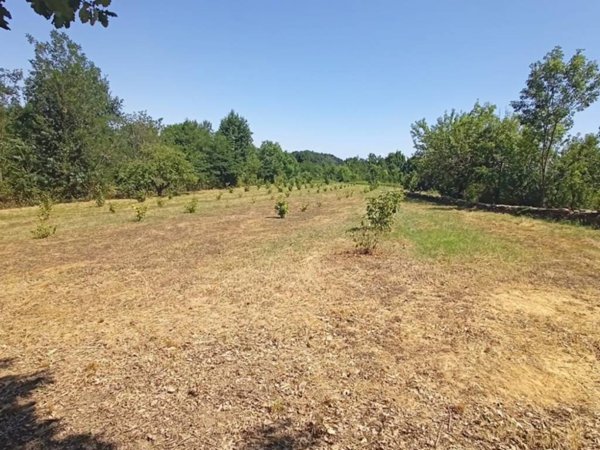 terreno agricolo in vendita a Cumiana