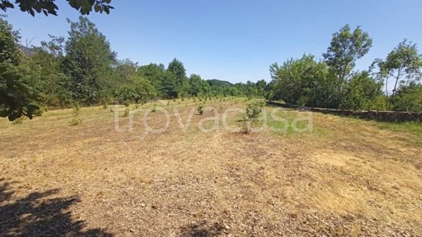terreno agricolo in vendita a Cumiana