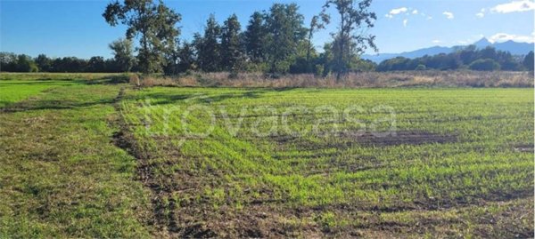 terreno agricolo in vendita a Cumiana