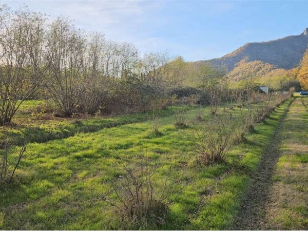 terreno agricolo in vendita a Cumiana