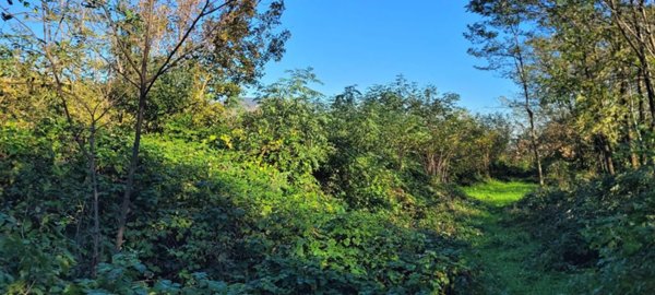 terreno agricolo in vendita a Cumiana