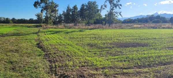 terreno agricolo in vendita a Cumiana