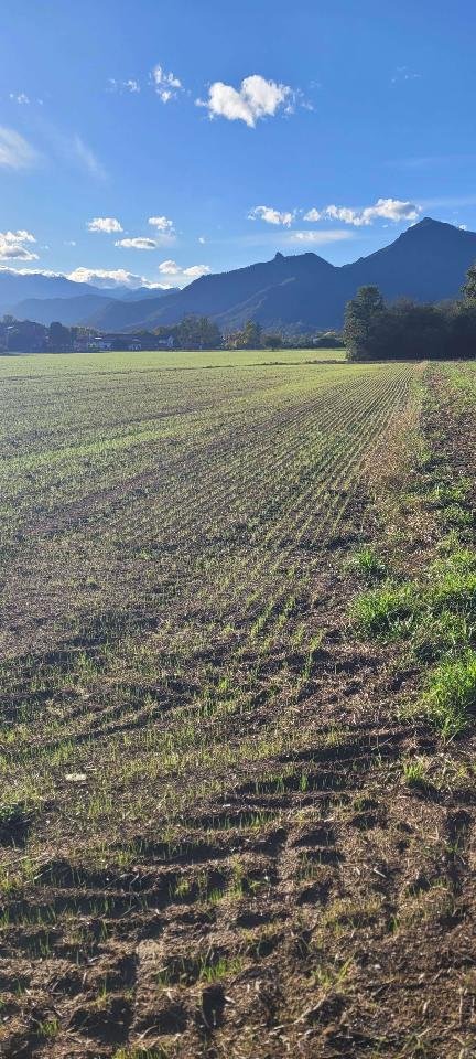 terreno agricolo in vendita a Cumiana