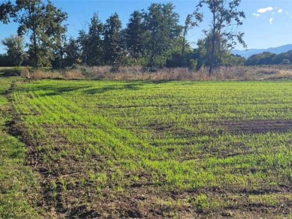 terreno agricolo in vendita a Cumiana