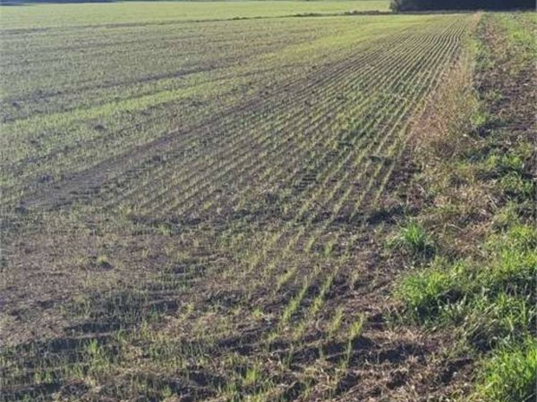 terreno agricolo in vendita a Cumiana
