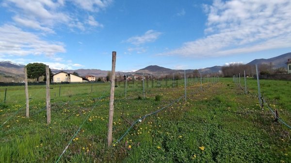 terreno agricolo in vendita a Cumiana