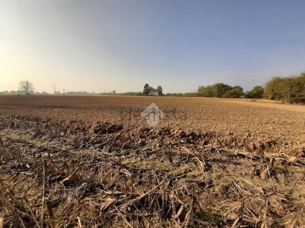 terreno agricolo in vendita a Cumiana