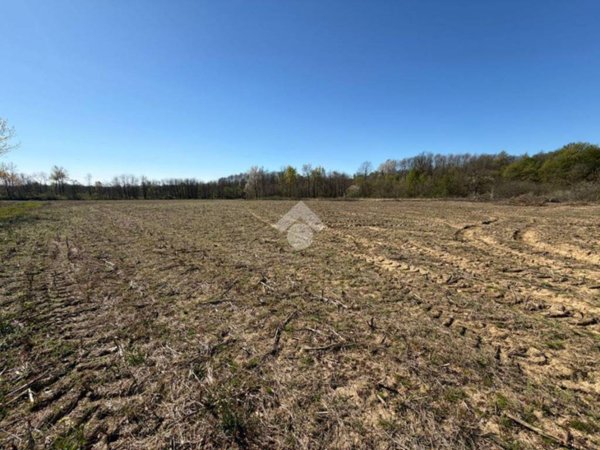 terreno agricolo in vendita a Cumiana