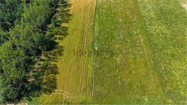 terreno agricolo in vendita a Cumiana