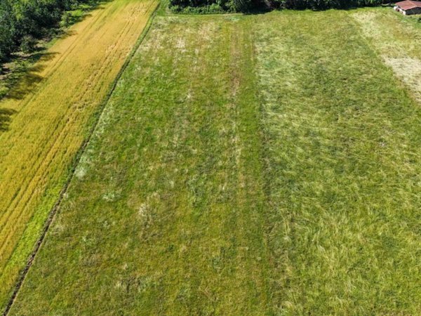 terreno agricolo in vendita a Cumiana
