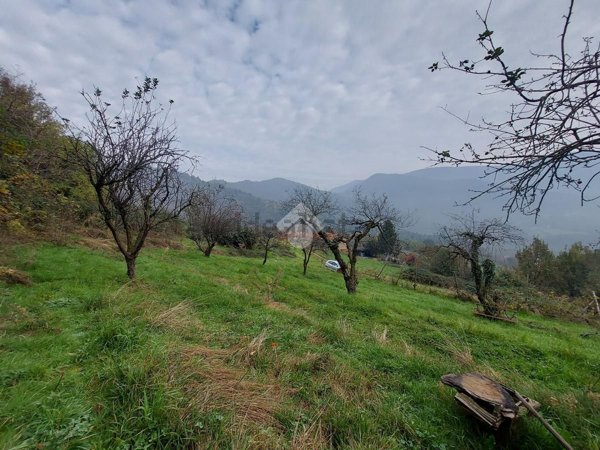 terreno in vendita a Cumiana