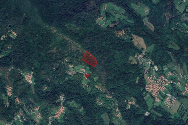 terreno in vendita a Cumiana
