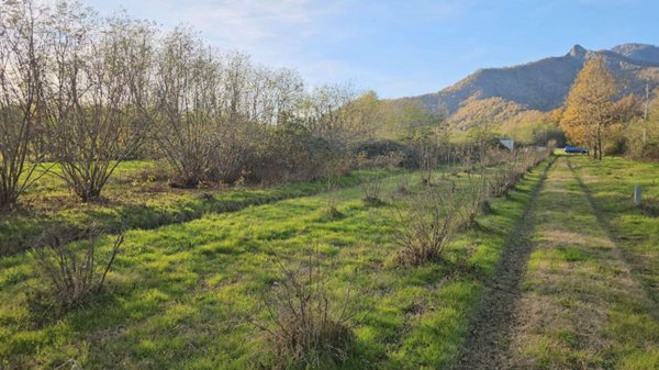 terreno in vendita a Cumiana