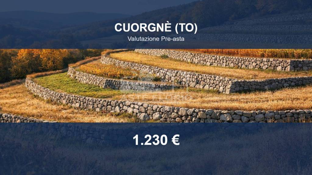 terreno agricolo in vendita a Cuorgnè