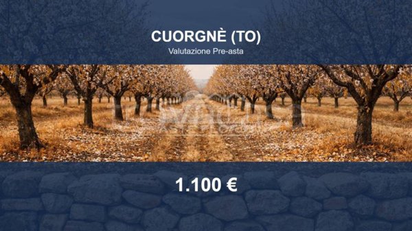 terreno agricolo in vendita a Cuorgnè in zona Salto