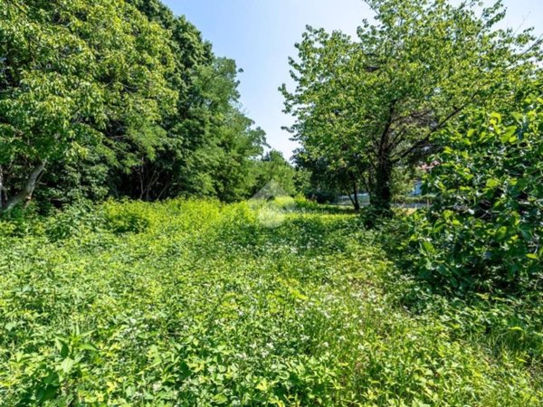 terreno agricolo in vendita a Druento