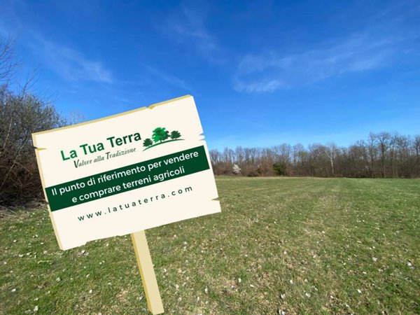 terreno agricolo in vendita a Fiano