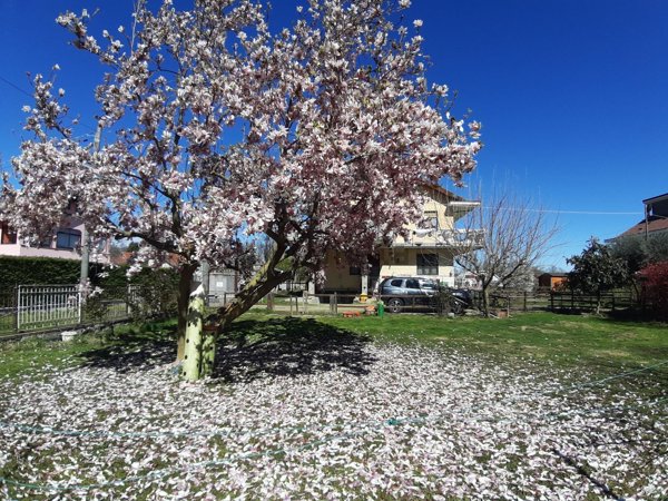 casa indipendente in vendita a Fiano