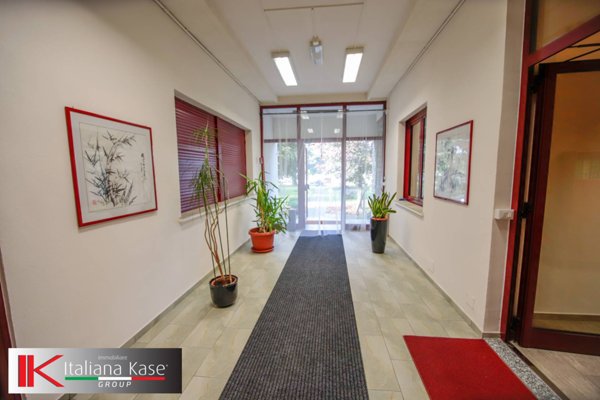 immagine annuncio 0 di 10