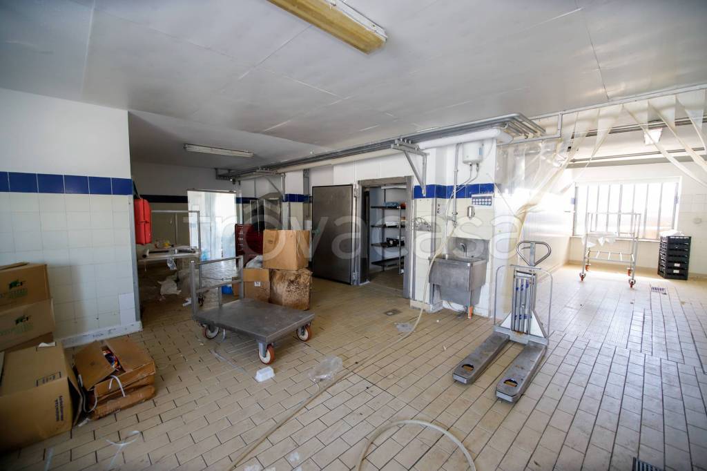 negozio in vendita a Foglizzo