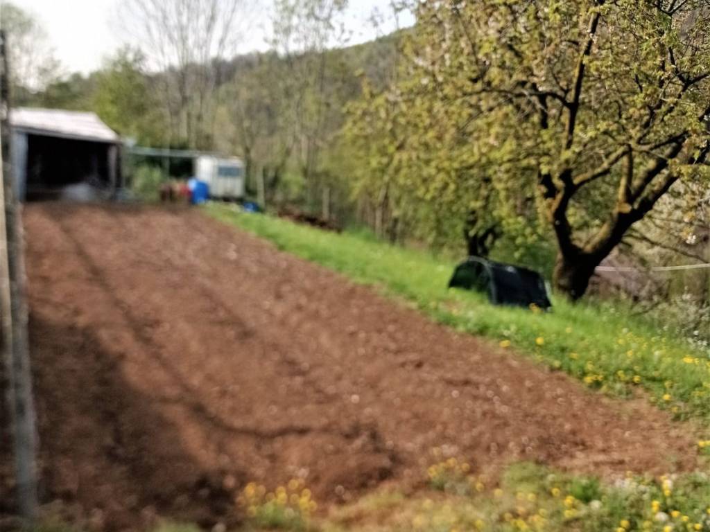 terreno agricolo in vendita a Forno Canavese