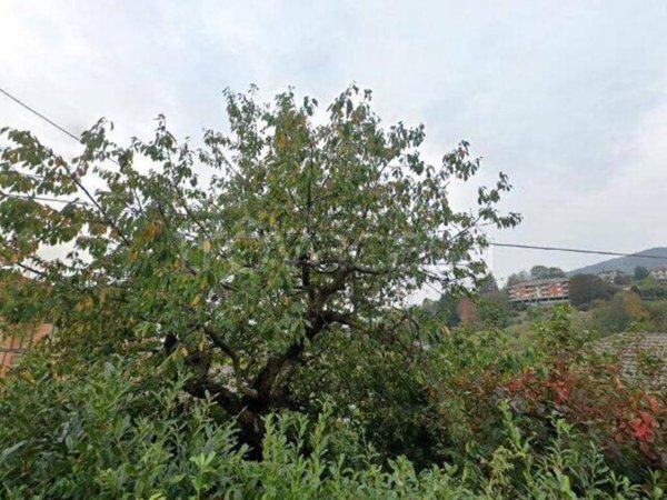appartamento in vendita a Forno Canavese