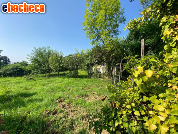 terreno agricolo in vendita a Frossasco