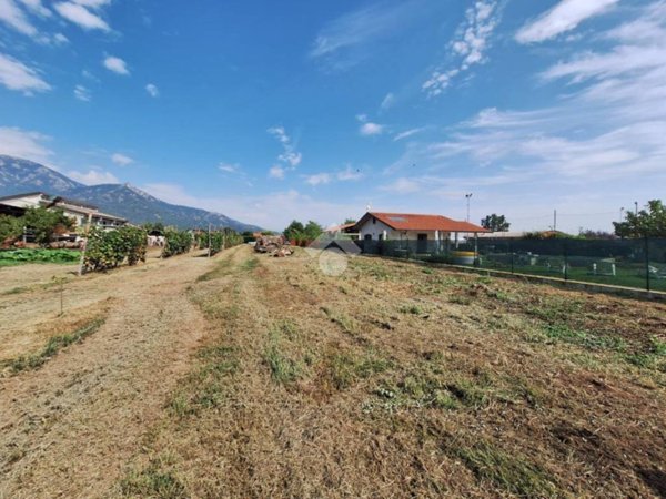 terreno agricolo in vendita a Frossasco