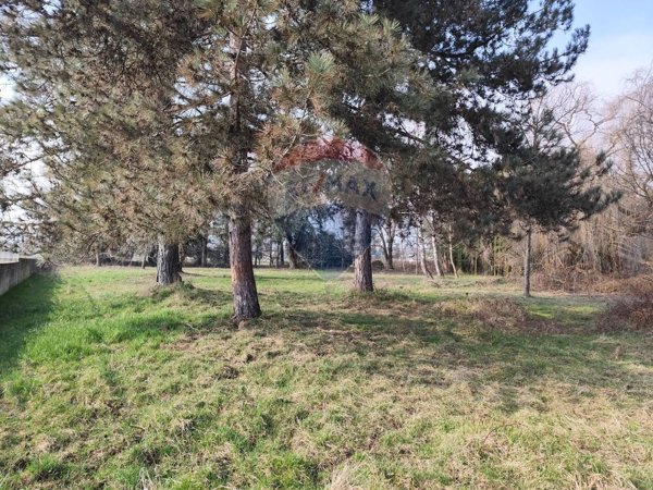 appartamento in vendita a Frossasco