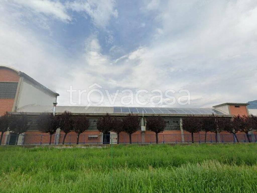 casa indipendente in vendita a Frossasco