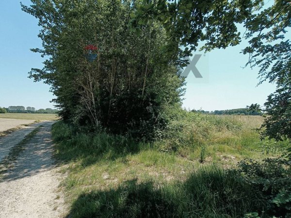 terreno agricolo in vendita a Frossasco