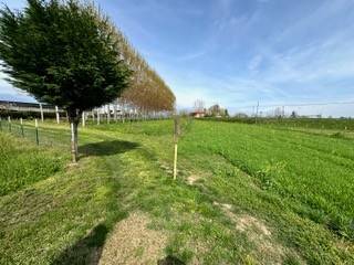 terreno agricolo in vendita a Garzigliana