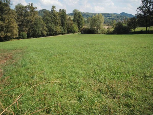 terreno agricolo in vendita a Gassino Torinese