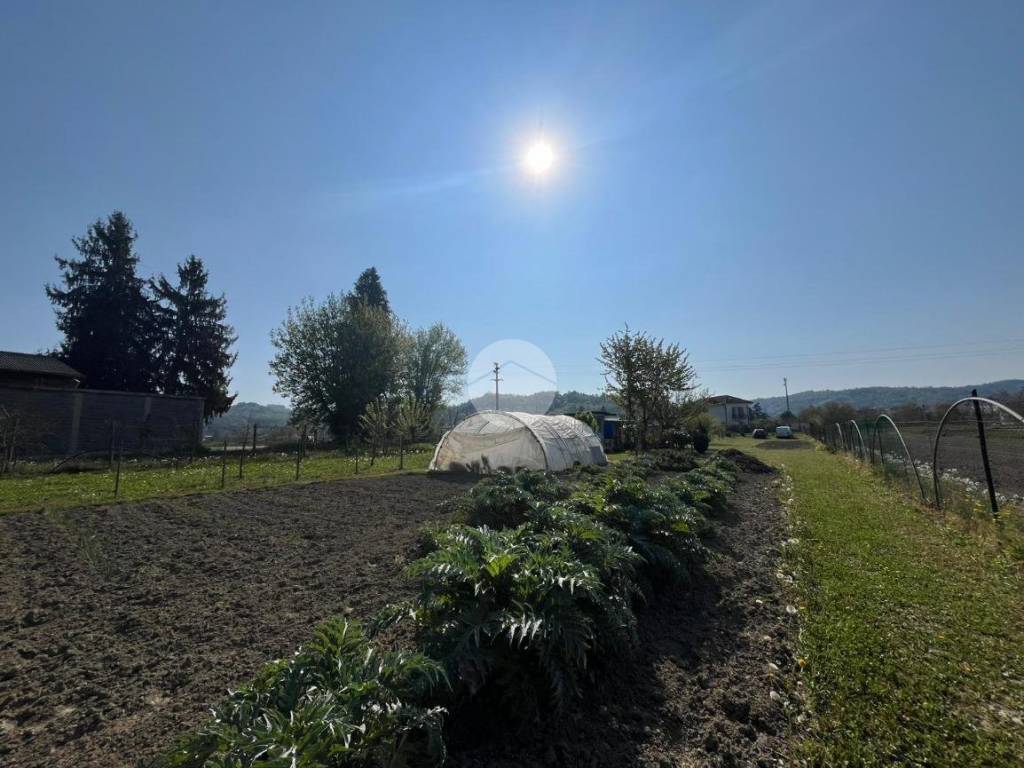 terreno agricolo in vendita a Gassino Torinese
