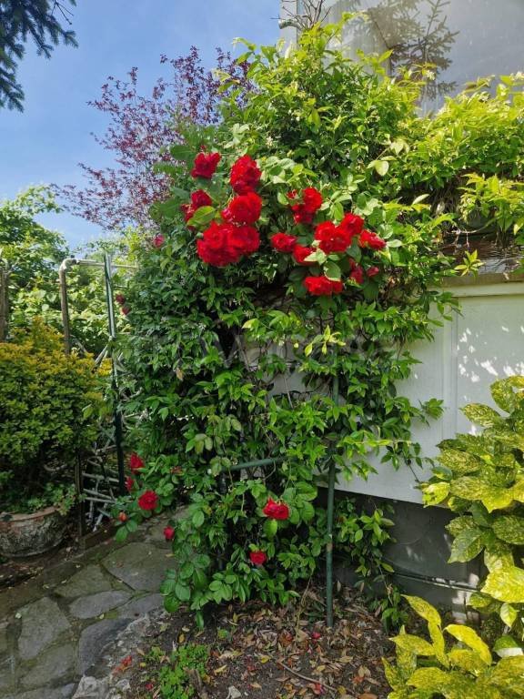 appartamento in vendita a Gassino Torinese in zona Bardassano