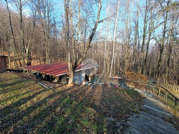 terreno agricolo in vendita a Giaveno