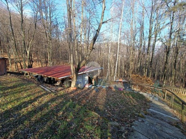 terreno agricolo in vendita a Giaveno